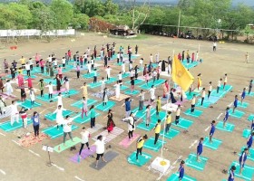 Yoga Day Celebration